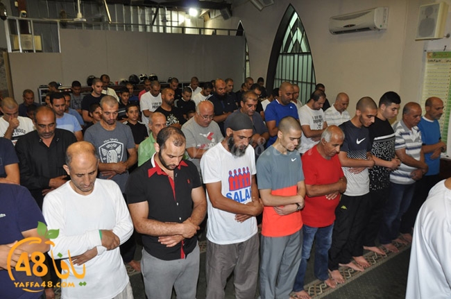 qader yaffa msajed (62).JPG